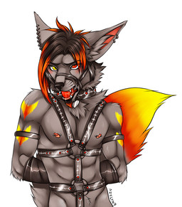 anthro ball_gag bdsm biped collar collar_tag gag gagged halter hands_behind_back harness harness_ball_gag harness_gag heterochromia looking_at_viewer male muzzle_(object) muzzled nude piercing simple_background solo standing tail white_background azelyn flaerion canid canine mammal 2009