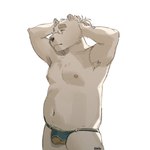 anthro armpit_hair body_hair bulge clothed clothing eyewear glasses hair hands_behind_head male nipples ponytail raised_arms slightly_chubby slightly_chubby_anthro slightly_chubby_male solo standing underwear underwear_only nyaalgebra lifewonders tokyo_afterschool_summoners leib_(tas) bear mammal polar_bear ursine 1:1 2023 hi_res