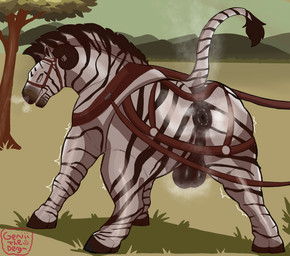 anus backsack balls breath butt crupper equine_anus feral genitals glistening glistening_anus grunting halter harness male musk musky_anus musky_balls musky_butt presenting presenting_anus presenting_hindquarters puffy_anus raised_tail solo steam steam_breath striped_body stripes tack tail genjii zelko equid equine felkin hybrid mammal zebra hi_res