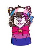 accessory bell bell_collar bisexual_pride_colors blep brown_hair clothing collar female fluffy hair headband highlights_(coloring) hoodie lgbt_pride multicolored_clothing multicolored_headband multicolored_hoodie multicolored_topwear pattern_clothing piercing pride_color_accessory pride_color_clothing pride_color_headband pride_color_hoodie pride_color_topwear pride_colors purple_clothing striped_clothing stripes tongue tongue_out topwear transgender_pride_colors wereshiba rin_(kittyrin) domestic_cat felid feline felis mammal pantherine snow_leopard trans_(lore) trans_woman_(lore)