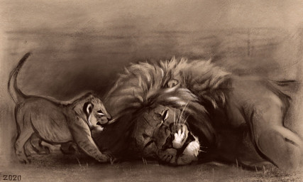 bite biting_another duo feral grass mane plant quadruped short_fur sleeping whiskers young alexpahomov felid lion mammal pantherine 2020