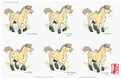 after_transformation animal_genitalia animal_penis belly_slapping_masturbation bodily_fluids border cum cutie_mark ejaculation equine_genitalia equine_penis erection feral flared_penis fur genital_fluids genitals hair male masturbation orange_body orange_fur penis ponytail progression solo standing surprised text white_border fennec_(artist) hasbro my_little_pony fennec_(character) equid equine horse mammal pony english_text hi_res url