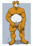 5_toes anthro balls belly blue_eyes brown_body brown_fur feet flaccid foreskin fur genitals humanoid_genitalia humanoid_penis male moobs nipple_piercing nipple_ring nipples orange_body overweight overweight_anthro overweight_male penis piercing plantigrade ring_piercing simple_background solo toes white_body white_fur chestnuts_(artist) canid canine canis domestic_dog mammal 2020