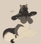 anthro breasts claws clothing corset female fluffy fluffy_tail fur legwear lingerie nails nipples paws pose solo tail teasing topwear hierro_(artist) canid canine canis mammal wolf hi_res pinup sketch