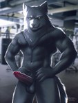 anthro fur genitals glowing glowing_eyes grey_body grey_fur gym humanoid_genitalia humanoid_penis male muscular muscular_male nude nude_male penis solo standing berry_tail canid canine canis mammal wolf 3:4 absurd_res hi_res