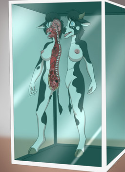 anthro areola bisected breasts corpse death feet female female_death fingers fur genitals gore gore_focus guts hair horn internal intestines nipples nude on_display open_mouth organs preserved_specimen snuff solo stomach tail teeth tongue uterus frostbite80 bovid bovine cattle mammal absurd_res digital_media_(artwork) hi_res