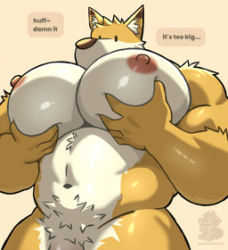 abs anthro areola barazoku biceps big_muscles big_pecs dialogue dot_eyes fur genitals hand_on_chest hand_on_pecs huge_muscles huge_pecs humanoid_genitalia humanoid_penis kemono male muscular muscular_anthro muscular_male navel nipples nude pec_grab pec_lift pec_play pec_squish pecs penis penis_base profanity pubes simple_background simple_eyes snout solo squish standing tan_background text tuft phantasmbark blan_(buff_fox) canid canine fox mammal 2025 english_text hi_res warm_colors watermark