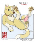 anthro balls biped bodily_fluids collar cum erection genital_fluids genitals lying male nude on_back one_eye_closed penis solo tail text fennec_(artist) disney roadside_romeo yash_raj_films romeo_(roadside_romeo) canid canine canis domestic_dog mammal english_text