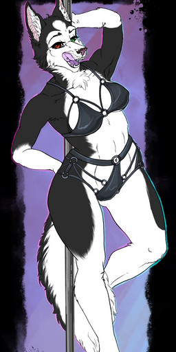 anthro black_body black_fur bra claws clothing female fur heterochromia latex leather looking_at_viewer nipple_outline piercing pole smile solo standing stripper_pole tongue tongue_out underwear white_body white_fur trixythespiderfox canid canine canis domestic_dog husky mammal nordic_sled_dog spitz hi_res