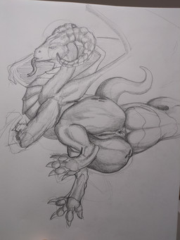 anus bedroom_eyes butt claws female feral genitals horn membrane_(anatomy) membranous_wings muscular muscular_female muscular_feral narrowed_eyes pawpads paws presenting presenting_hindquarters quadruped scales seductive solo tail toned_legs tongue ventral_scales vulva wings elderberry mythology dragon mythological_creature mythological_scalie scalie absurd_res graphite_(artwork) hi_res line_art shaded sketch traditional_media_(artwork)