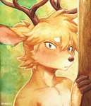 anthro antlers blonde_hair blush fur hair horn looking_at_viewer male male_anthro solo sanderthecat deer mammal 2022 hi_res watercolor_(artwork)