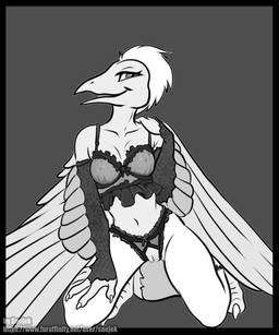 anthro breasts clothing crotchless_clothing crotchless_panties crotchless_underwear feathered_wings feathers female genitals lingerie medium_breasts navel nipple_outline nipples non-mammal_breasts non-mammal_navel non-mammal_nipples panties smile solo underwear vulva winged_arms wings snejek dinosaucers kinktober teryx_(dinosaucers) dinosaur feathered_dinosaur feathered_scalie prehistoric_species reptile scalie 5:6 absurd_res black_and_white digital_media_(artwork) hi_res monochrome