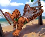 abs anthro athletic belly biceps bottomwear clothed clothing feet fur green_clothing green_eyes hammock hindpaw male muscular muscular_anthro muscular_male pawpads paws pecs shorts solo striped_body striped_fur stripes swimming_trunks swimwear topless white_belly zephyxus beryl_(zephyxus) felid mammal pantherine tiger 2022