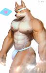 abs accessory anthro asian_clothing blue_eyes clothed clothing east_asian_clothing fundoshi fur headband heart_symbol japanese_clothing looking_at_viewer male muscular muscular_anthro muscular_male nipples pecs solo tan_body tan_fur topless underwear dkqksms1004 canid canine canis domestic_dog husky mammal nordic_sled_dog spitz 2019 absurd_res hi_res