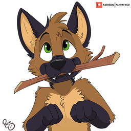 anthro arm_tuft black_body black_fur black_nose brown_body brown_fur cheek_tuft elbow_tuft facial_tuft front_view fur gloves_(marking) green_eyes head_tuft male markings nude shoulder_tuft solo stick_in_mouth tan_body tan_fur tuft young young_anthro young_male pandapaco canid canine mammal 1:1 bust_portrait portrait