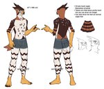 5_fingers anthro beak biped claws clothed clothing fingers male solo text topless topless_anthro topless_male underwear underwear_only aevris ryker_(aevris) accipitrid accipitriform aquilinae avian bird eagle ornate_hawk-eagle english_text hi_res model_sheet