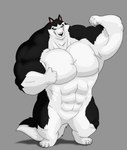 abs anthro big_muscles black_body black_fur blue_eyes featureless_crotch flexing flexing_bicep fur huge_muscles male muscular muscular_anthro muscular_male solo white_body white_fur xxsparcoxx balto_(series) universal_studios steele_(balto) alaskan_malamute canid canine canis domestic_dog mammal nordic_sled_dog spitz 2015 digital_media_(artwork) hi_res