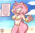 accessory anthro beach big_butt bikini bracelet breasts butt clothing dialogue female green_eyes hair_accessory hairband jewelry micro_bikini navel pink_body sea solo speech_bubble swimwear tail tan_body tan_skin two-piece_swimsuit water rathart sega sonic_the_hedgehog_(series) amy_rose eulipotyphlan hedgehog mammal hi_res