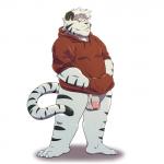 anthro barazoku bottomless clothed clothing ear_piercing flaccid fluffy genitals hoodie leucistic male penis piercing solo topwear vein wdh3905 justin_(ieaden) felid mammal pantherine tiger 1:1 hi_res