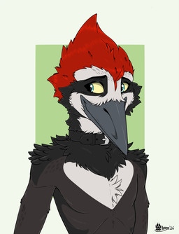 anthro beak belt belt_around_neck belt_only feathers looking_aside male mostly_nude mouth_closed nude smile solo marcushunter joel_(marcushunter) avian bird picid woodpecker 2026 half-length_portrait portrait signature