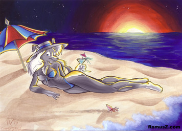 anthro beach clothing detailed_background female outside sand seaside sky solo sunset swimwear water michael_caddell canid canine mammal 1999