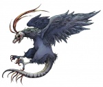 ambiguous_gender avian beak bird feathered_wings feathers feral nekogarasu simple_background solo tail what white_background wings