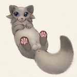 anus balls blep feral fur genitals grey_body grey_fur lying male on_back paws solo tail tail_anus tongue tongue_out cloudweaver_(artist) sachii_(resachii) domestic_ferret gulonine mammal marten mustelid musteline true_musteline weasel