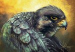 action_pose ambiguous_feral ambiguous_gender beady_eyes beak black_eyes detailed_feathers feathered_wings feathers feral flapping_wings glistening glistening_eyes gradient_background multicolored_beak pose side_view simple_background simulated_traditional_(artwork) solo speckled two_tone_beak wings caymartworks avian bird falcon falconid 2014 adobe_photoshop_(artwork) detailed digital_media_(artwork) digital_painting_(artwork) hi_res portrait