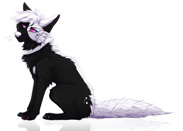 ambiguous_gender back_tuft black_body black_fur blue_eyes butt_tuft cheek_tuft collar facial_tuft feral fur glistening glistening_eyes hair leg_tuft looking_aside narrowed_eyes neck_tuft pink_sclera short_hair side_view simple_background sitting solo tail tuft unsigned white_background white_body white_collar white_fur white_hair santanahoffman canid mammal full-length_portrait hi_res portrait