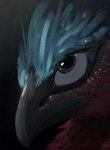 ambiguous_gender beak black_beak blue_body blue_eyes blue_feathers close-up feathers feral gradient_background red_body red_feathers simple_background solo shufflefur avian bird digital_media_(artwork) hi_res signature