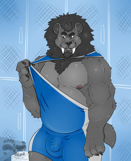 anthro balls_outline barazoku belly bodily_fluids bulge clothing detailed_bulge eyebrows facial_hair genital_outline goatee locker locker_room male mane muscular muscular_anthro muscular_male nipples penis_outline pulling_at_fabric saber shirt snarling solo stretchy_fabric sweat thick_eyebrows topwear wrestling_singlet yamatopawa hemlok felid mammal prehistoric_species saber-toothed_tiger hi_res