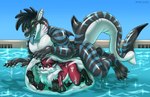 abdominal_bulge animate_inanimate anthro canid canine digitigrade duo fish fox ifus inflatable inside_stomach living_inflatable living_pool_toy male male/male mammal marine open_mouth pool pool_toy shark tail tongue tongue_out vore water xray_view ziggy_(dezo) zoru