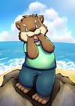 anthro barefoot beach bottomwear brown_body brown_fur circle_eyebrows clothed clothing cloud eyebrows feet fully_clothed fur hands_in_mouth male no_pupils pants rock sea seaside simple_eyes solo standing tongue tongue_out water aciag mammal mustelid otter