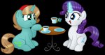 cutie_mark duo female feral horn smile aleximusprime friendship_is_magic hasbro my_little_pony mythology fan_character rarity_(mlp) equid equine mammal mythological_creature mythological_equine unicorn 2014 alpha_channel hi_res