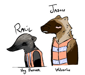 anthro bloodshot_eyes brown_body brown_fur clothing duo facial_markings fur grey_body grey_fur half-closed_eyes head_markings male markings mask_(marking) multicolored_body multicolored_fur narrowed_eyes reflective_clothing safety_vest simple_background stated_species teeth_showing text topwear vest white_background the_weaver pack_street jason_(weaver) raul_(weaver) badger gulonine hog_badger mammal mustelid musteline wolverine 2026 digital_drawing_(artwork) digital_media_(artwork) english_text half-length_portrait portrait