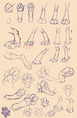 4_toes anatomy anthro barefoot claws curling_toes digitigrade feet foot_shot fur how-to pawpads paws simple_background soles spread_toes toe_claws toes animancer 2025 absurd_res hi_res sketch