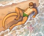 anthro beach brown_body brown_eyes brown_fur brown_hair bulge claws clothed clothing detailed_background detailed_bulge erection erection_under_clothing eyewear fur genital_outline genitals glasses hair hi_res looking_at_viewer lying male mammal multicolored_body multicolored_fur mustelid navel on_back otter outside penis penis_outline sand seaside smile solo speedo star swimwear tail tarrin toe_claws topless totesfleisch8 two_tone_body two_tone_fur water whiskers