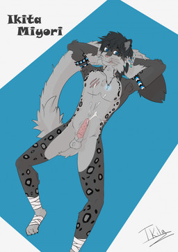 animal_genitalia anthro armlet balls bandage bandaged_foot black_hair blue_eyes bodily_fluids bracelet cum cum_on_belly cum_on_body cum_on_chest ear_piercing ear_ring feather_accessory fluffy fluffy_tail fur genital_fluids genitals grey_body grey_fur hair jewelry looking_at_viewer male necklace nude orgasm penile_spines penis piercing presenting ring_piercing scar sheath simple_background solo spread_legs spreading tail tapering_penis tongue tongue_out tribal tribal_jewelry ikita ikita_miyori felid mammal pantherine snow_leopard hi_res