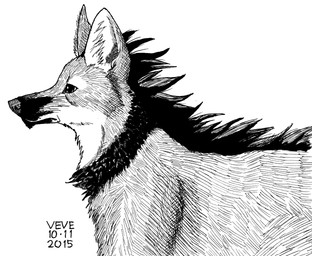 ambiguous_gender cheek_tuft chest_tuft chin_tuft facial_tuft feral glistening glistening_eyes inner_ear_fluff mane neck_tuft side_view solo tuft skyelegs canid canine mammal maned_wolf 2015 black_and_white dated monochrome