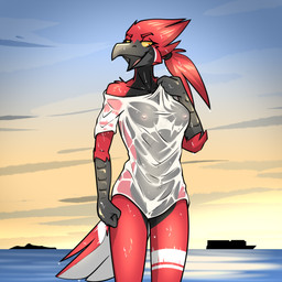 anthro areola beak bottomless bottomless_anthro bottomless_female breasts clothed clothing feathers female fingers nipples open_beak open_mouth outside red_body red_feathers shirt shirt_only sky smile solo standing tail tail_feathers topwear topwear_only translucent translucent_clothing translucent_shirt translucent_topwear water wet wet_body wet_clothing wet_shirt wet_topwear ryofox630 rose_(ryofox630) avian bird 1:1 digital_media_(artwork) hi_res