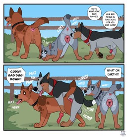 anal anal_penetration anatomically_correct anatomically_correct_anus animal_genitalia animal_penis animal_vulva anus balls blush blush_lines bodily_fluids butt canine_genitalia canine_penis canine_vulva collar cuckold drooling female feral from_behind_position genital_fluids genitals group intraspecies inviting_to_sex knot knot_in_sheath leaking_precum male male/female male/male motion_lines mounting orientation_play pawpads penetration penile penile_penetration penis penis_in_ass precum presenting presenting_hindquarters presenting_vulva questionable_consent saliva sex sheath surprise_buttsex text tongue tongue_out trio vaginal_fluids vulva badfurgood cody_(badfurgood) australian_cattle_dog canid canine canis cattledog domestic_dog herding_dog mammal pastoral_dog 2026 digital_media_(artwork) english_text hi_res