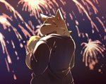 anthro clothing eyes_closed fireworks kemono male night outside robe solo diru11 canid canine canis domestic_dog mammal 2015