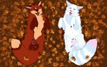 autumn autumn_leaves duo feral leaf love male male/male outside skullsbesan tanos zax_(zwalexan) arctic_fox canid canine domestic_cat felid feline felis fox hybrid mackerel_tabby mammal tabby_cat true_fox absurd_res hi_res