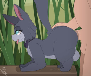 abdominal_bulge anal anal_fluids anal_fluids_on_penis anal_penetration anal_tugging ball_size_difference balls balls_touching bamboo bamboo_forest bamboo_tree belly bestiality big_belly big_butt blue_body bodily_fluids bouncing_balls bouncing_butt bow_tie bow_tie_only butt butt_jiggle butt_slap dripping duo faceless_character faceless_human faceless_male femboy feral feral_penetrated forest furniture genital_fluids genitals hand_on_butt huge_butt human_on_feral human_penetrating human_penetrating_feral humanoid_genitalia humanoid_penis interspecies jiggling larger_human larger_male leaking_precum looking_pleasured male male/male male_penetrated male_penetrating male_penetrating_male mostly_nude overweight penetration penile penile_penetration penis penis_in_ass plant precum precum_drip precum_string sex size_difference slap slap_mark smaller_feral smaller_male smaller_penetrated standing standing_sex table thick_thighs tongue tongue_out tree dengon sound_warning boonie_bears fabian_(boonie_bears) domestic_cat felid feline felis human mammal 6:5 animated loop short_playtime sound webm