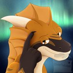 anthro brown_body horn male solo star thinking thoughtful_expression dexterthekobold borealis fish marine shark 1:1 absurd_res artist_name digital_media_(artwork) digital_painting_(artwork) headshot_portrait hi_res meme portrait shaded simple_shading watermark