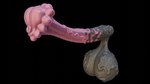 animal_genitalia animal_penis balls big_balls big_penis black_background black_body black_skin disembodied_penis download equine_genitalia equine_penis genitals male penis pink_body pink_skin simple_background vein veiny_balls veiny_penis sanory 16:9 3d_(artwork) digital_media_(artwork) hi_res widescreen