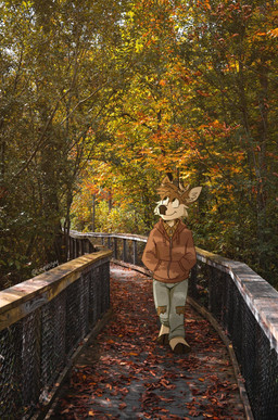 anthro antlers autumn biped blue_bottomwear blue_clothing blue_jeans blue_pants blue_sky bottomwear brown_body brown_clothing brown_fur brown_shirt brown_topwear button_down_shirt clothed clothing denim denim_bottomwear denim_clothing drawstring fully_clothed fur green_trees grey_text hoodie hooves horn jeans male outside pants pattern_clothing pattern_shirt pattern_topwear photo_background photographs plaid plaid_clothing plaid_shirt plaid_topwear red_clothing red_hoodie red_topwear shirt sky solo tan_body tan_fur topwear torn_bottomwear torn_clothing torn_jeans torn_pants walking walking_path tinydeerguy darwin_(tinydeerguy) deer mammal hi_res photography_(artwork) signature