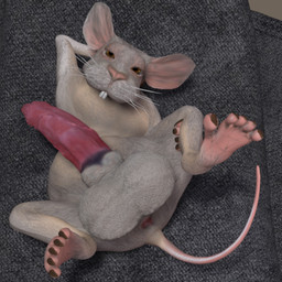 anus balls big_balls big_penis erection feet feral genitals hindpaw huge_balls huge_penis hyper hyper_balls hyper_genitalia hyper_penis male nude paws penis small_but_hung solo tail whiskers tapiko house_mouse mammal mouse murid murine rodent 1:1 3d_(artwork) digital_media_(artwork)