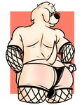 anthro armwear bombayeen_(artist) bulge butt canid canine canis clothed clothing domestic_dog ear_piercing family_guy fishnet_armwear fishnet_clothing fishnet_legwear hi_res jasper_(family_guy) legwear looking_at_viewer looking_back male mammal partially_clothed piercing presenting presenting_hindquarters rear_view solo thong underwear