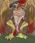 abs anthro beak biceps big_muscles claws crouching digitigrade erection feathered_wings feathers feet genitals looking_at_viewer male muscular muscular_anthro muscular_male nude pecs penis solo tail tail_feathers talons tapering_penis toes wings velrizoth runescape armadyl avian aviansie bird deity 5:6 hi_res